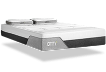 OTTY Original Pure+