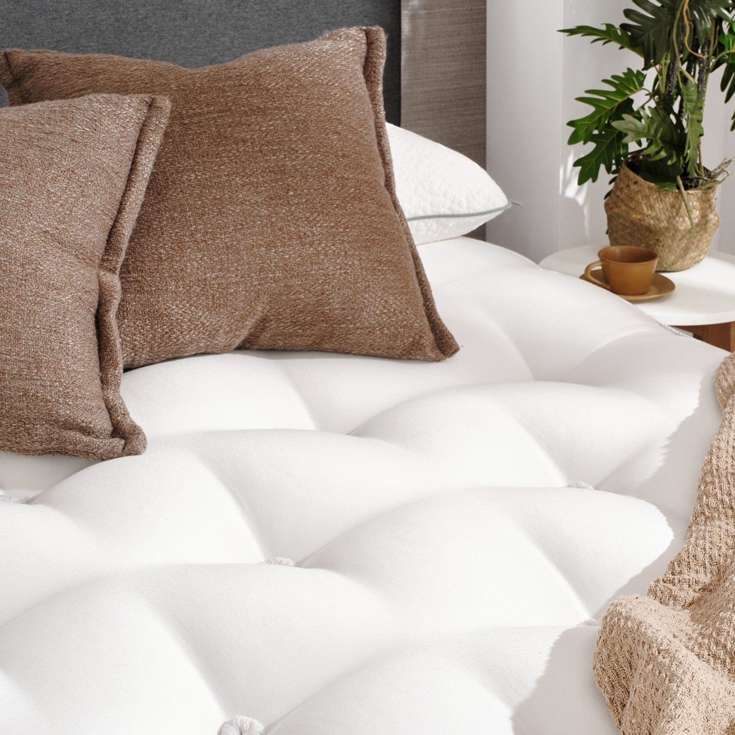 OTTY Natural Evolve - OTTY Sleep