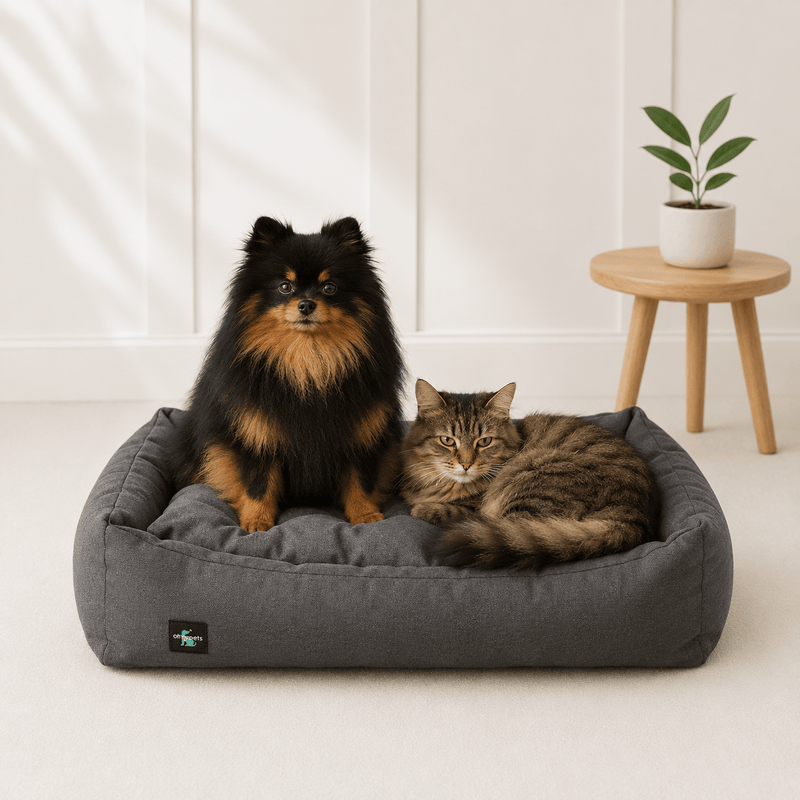 The OTTY Pet Bed - OTTY Sleep