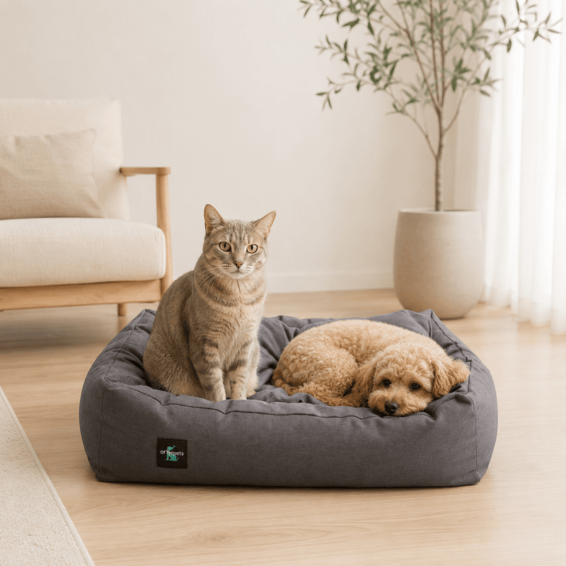 The OTTY Pet Bed - OTTY Sleep
