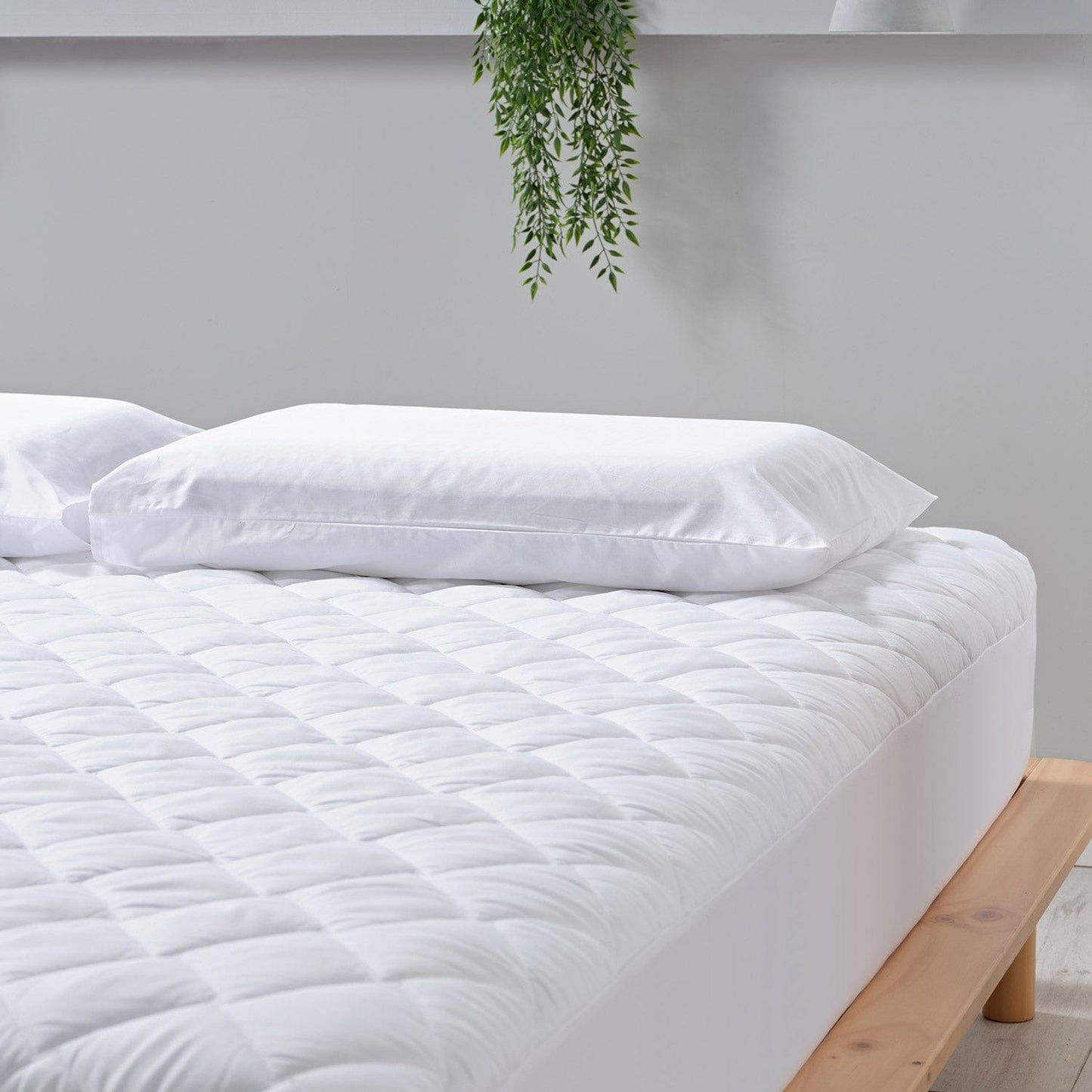 Waterproof Mattress Protector