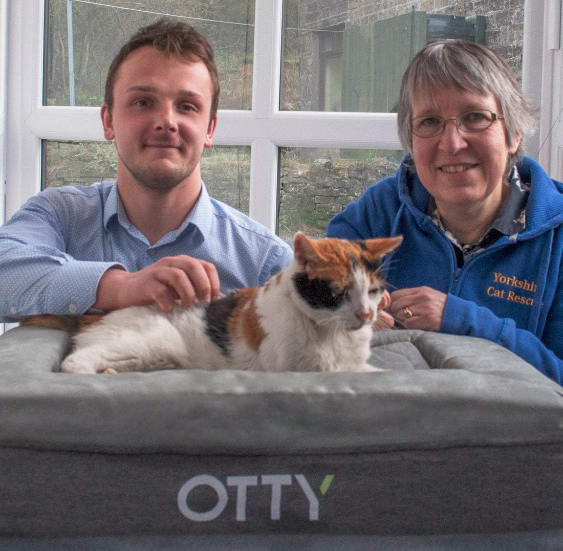 Our lovely CEO with a cat charity donating our pet beds