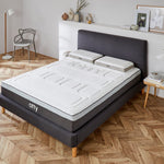 OTTY Bed Frame