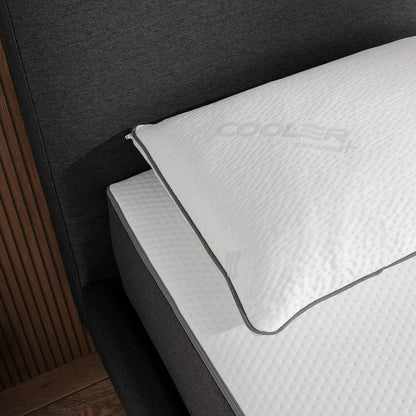 OTTY Cool Touch Pillow